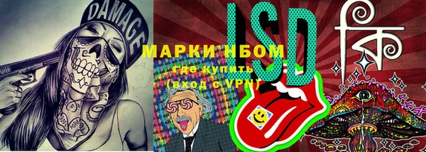 PSILOCYBIN Балахна