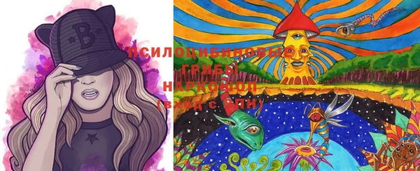 PSILOCYBIN Балахна