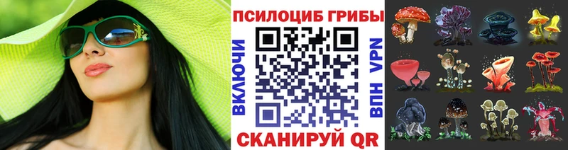 гидра онион  Великие Луки  Псилоцибиновые грибы MAGIC MUSHROOMS  где купить наркоту 
