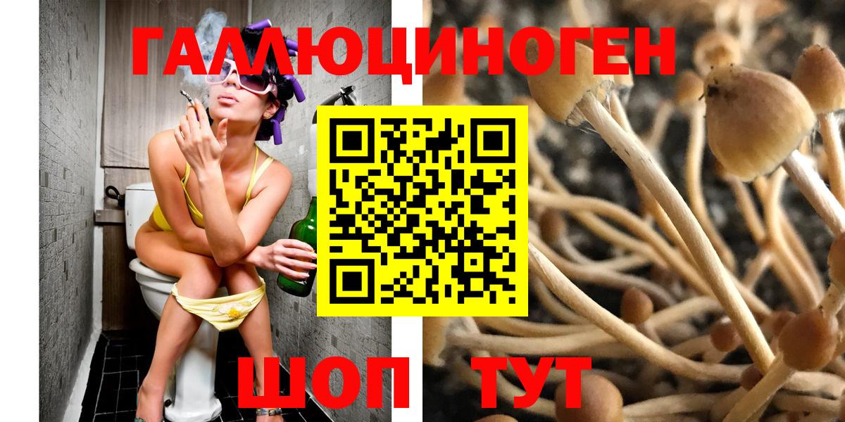Великие Луки  Галлюциногенные грибы мицелий  Галлюциногенные грибы мицелий  Вход с VPN 