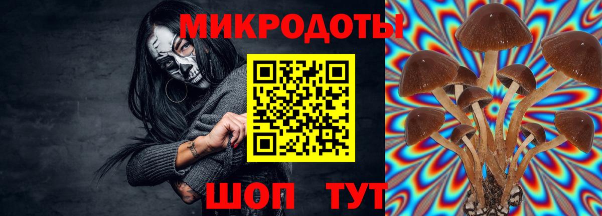 Галлюциногенные грибы GOLDEN TEACHER Великие Луки